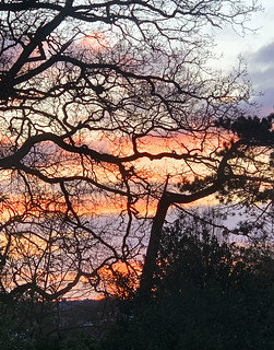 Garden view - sunset over Ipswich