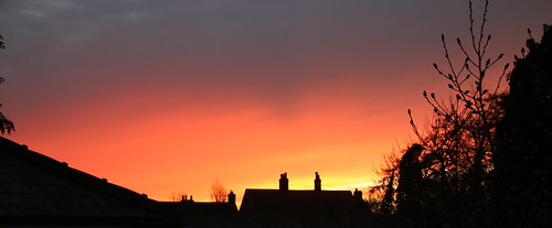 Halstead Sunset by kitmasterbloke, 25th February 2021sunset trees essex halstead light