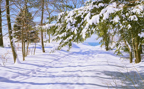 lake lakeshore lakemichigan ccskiing winter woods path snow shadows