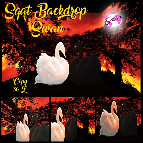 Sqat Backdrop | by sqatstore