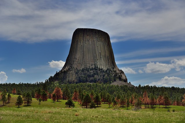 Devils Tower Rising Above a Forested Slope (Devils Tower National Monument)