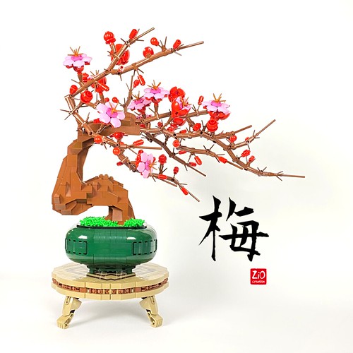 Bonsai of Plum Blossom