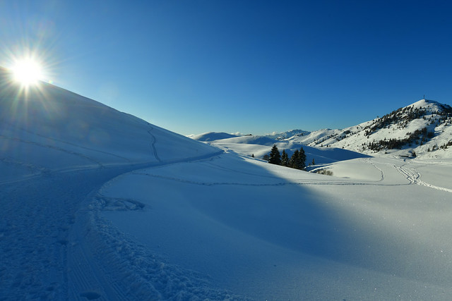 Cross country skiing in the Prealps