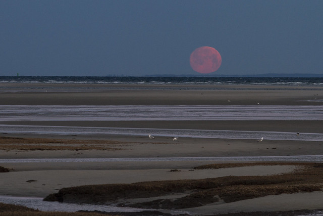 Moonset Over Brewster Flats