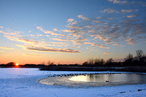 sunset ducks winter lake snow chisholmcreekpark wichita kansas