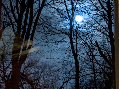 Winter moonlight