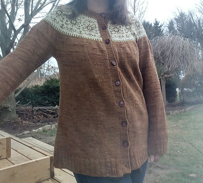 Sharon (Sharbooski) knit Sol Inca by Jenjoyce Design using Lichen and Lace Rustic Heather Sport.