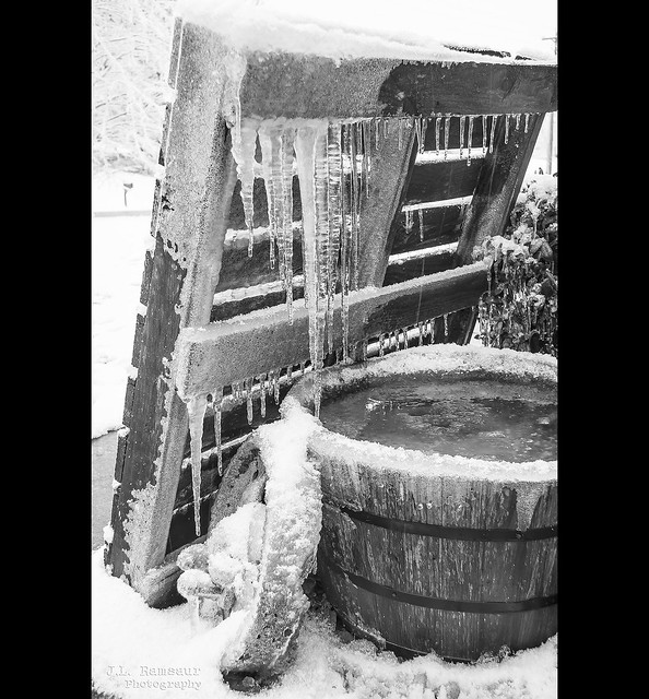 Baby It's Cold Outside - Cookeville, Tennessee B&W