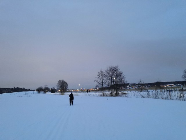 Cross country skiing Turku 2021