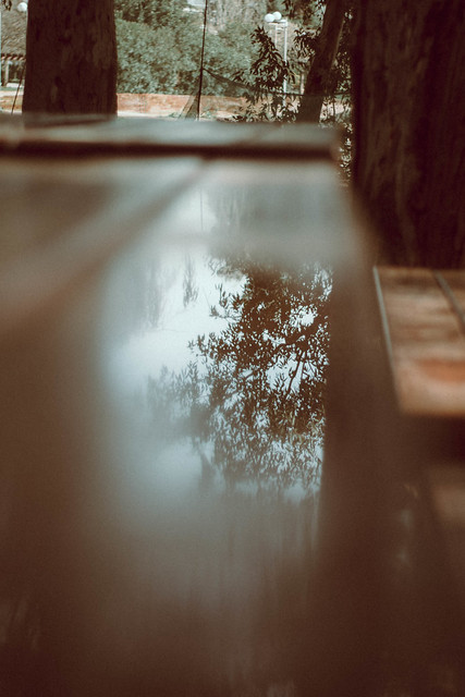 reflection on wood