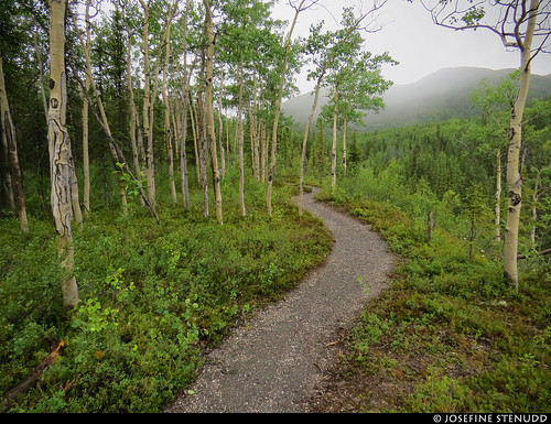 ratexlasalaskatrip2018 ratexlasgreentortoisetrip2018 greentortoise alaskaexpedition 5jul2018 2018 canonpowershotsx50hs travel travelling traveling journey epic photophotospicturepicturesimageimagesfotofotonbildbilder vacation holiday semester backpacking wanderlust resaresor cool summer sommar northamerica nordamerika earth tellus roadtrip alaska ak landscape landskap scenery scenic mountain mountains berg beautiful nature trail trails vandringsled vandringsleder path stig hike hiking vandra vandring forest skog woods usa unitedstates unitedstatesofamerica theunitedstates theunitedstatesofamerica theus thestates america american ontheroad earthporn ratexla photosbyjosefinestenudd childfree favorite throughherlens gsgs almostanything unlimitedphotos 1000views