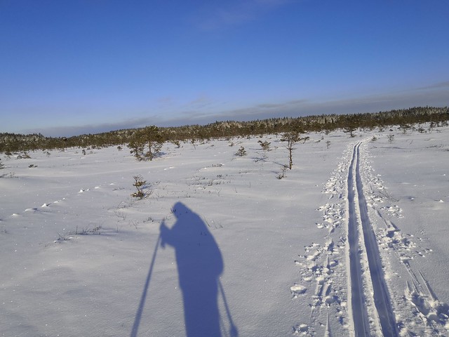 Cross country skiing Turku 2021