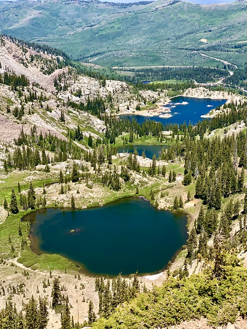 Summer hike in Uinta-Wasatch-Cache National Forest