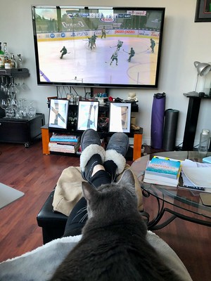 Crick on my lap as I watch hockey