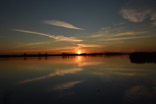 Chasewater Sunset