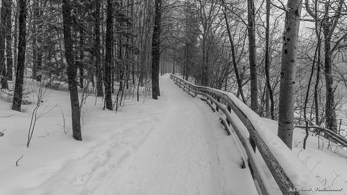sentier trail parcchauveau québec canada 6195 noiretblanc blackandwhite a6000 sel1650 paysage winter hiver landscape parc park blackdiamond