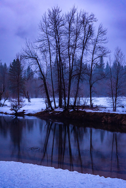 Merced River Tree Reflection in Winter