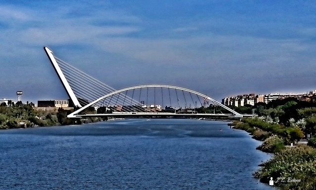 El Puente del Alamillo