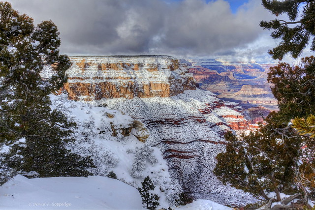 Grand Canyon winter portrait