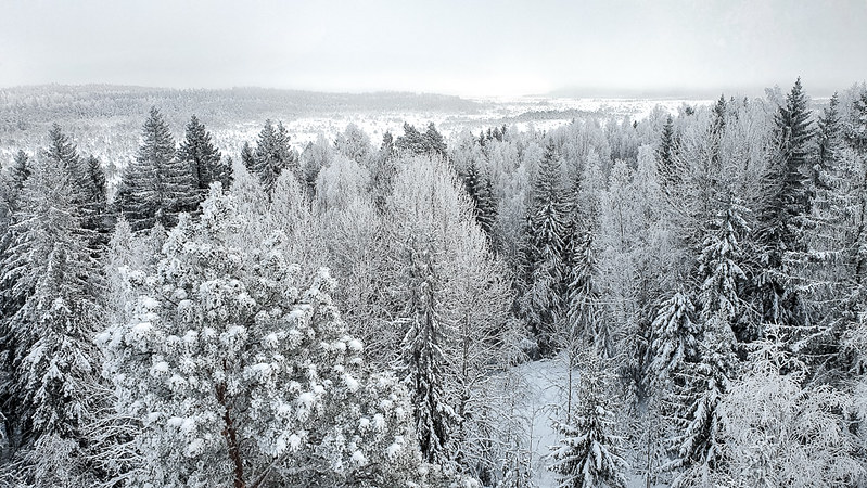 Torronsuon kansallispuisto, Etelä-Suomen talviretkeilyreitit