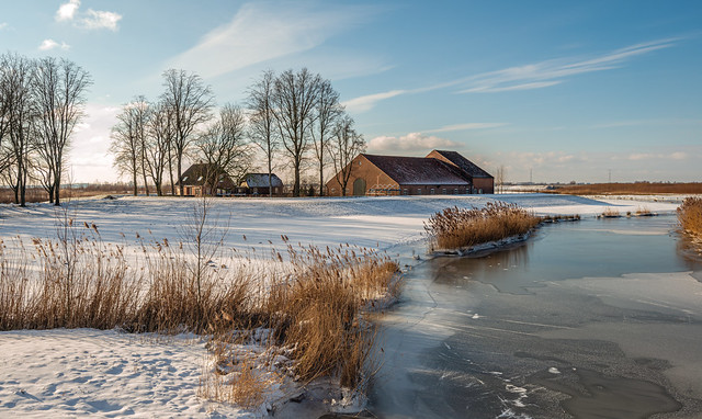 Dutch farm in a wintry landscape