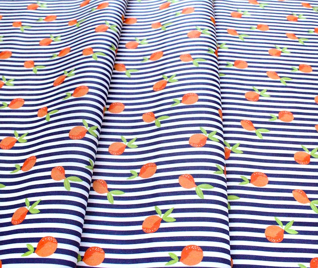 Paintbrush Studio Fabrics Citrus House 120-21875 Citrus Stripe