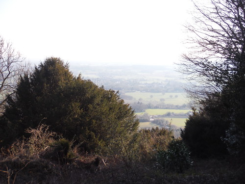 View from Bench into Valley, North Downs Way SWC Walk 139 Tadworth Circular via Headley Heath and Box Hill