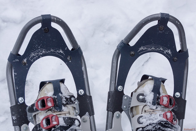 Raquettes,  snowshoes  - Hiver, winter - PQ, Canada - 2968