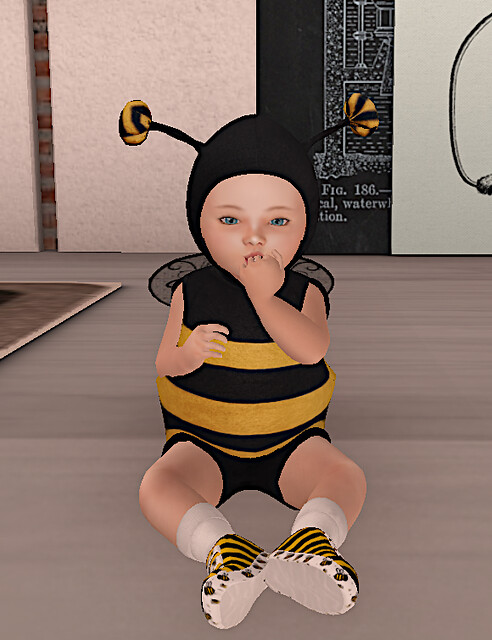 Baby Bee 🐝