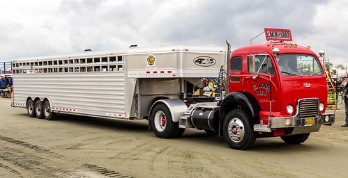 White Cabover with Cattle Trailer in Tulare