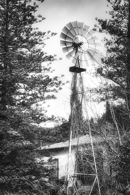 The old Windmill