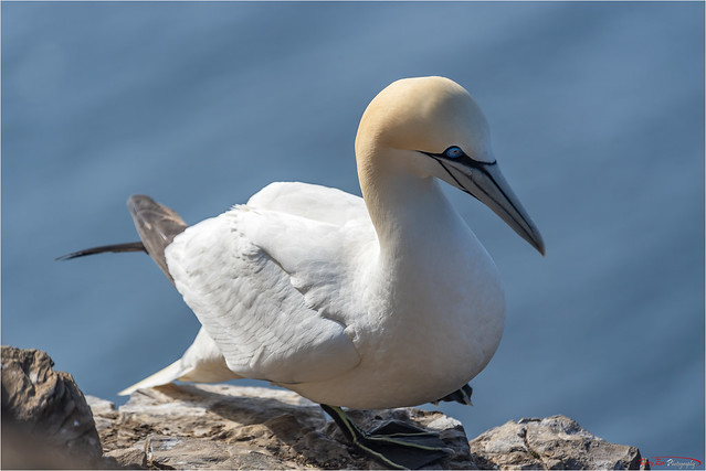 Balancing on the Edge_2534