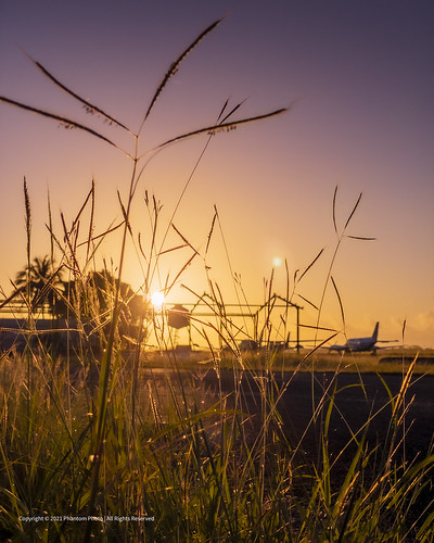 landscape sunrise sun grass tall hay sky bristow aviation dawn daybreak haze sahara plane aeroplane hangar