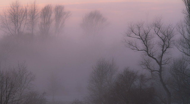 Misty Panorama