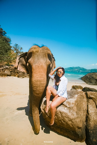 รีวิว Phuket elephant on the Beach