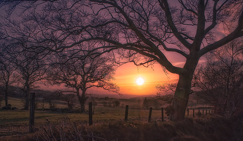 landscape sunset trees countryside rural colours scotland scenery fence silhouette