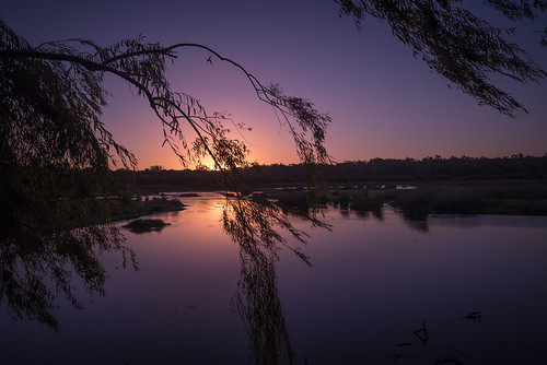 223 by Stuart Lilley Photography, yanchep westernaustralia australia sunset sunsets waterscape waterscapes silhouettes wetland wetland