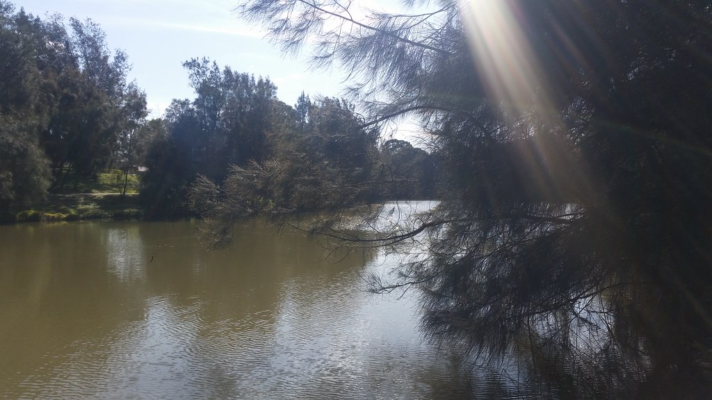 Caddies Creek, Kellyville, NSW, 2020