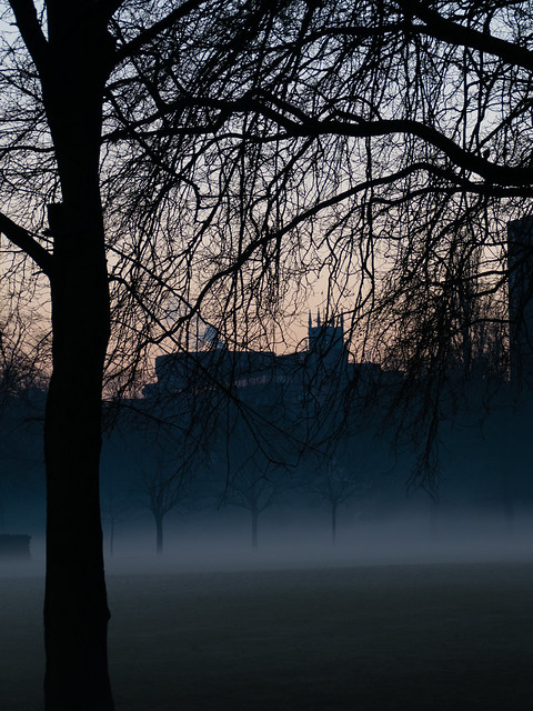 Pre-dawn misty morning, West Park