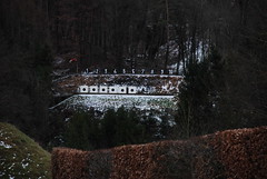 Winterschiessen 2010