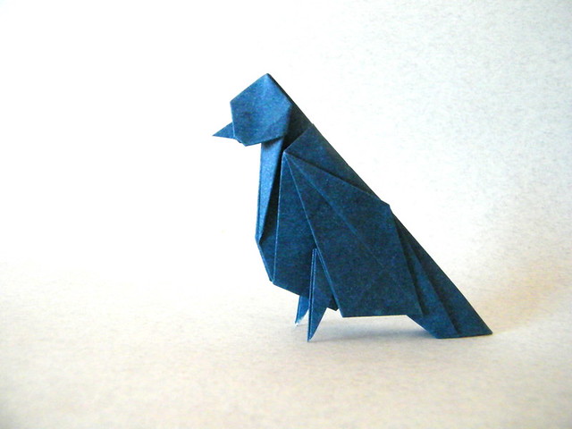 Pigeon - Jo Nakashima