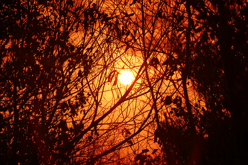 landscape forest nature travel outside trees pentax pentaxart sun sunrise winter orange
