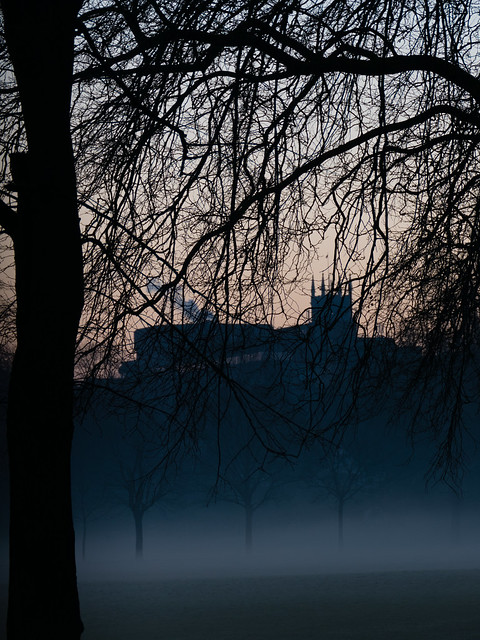 Pre-dawn misty morning, West Park