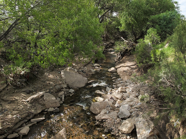 Ah the sweet desert creekwater of the Nogales Wash in Nogales Ariz.