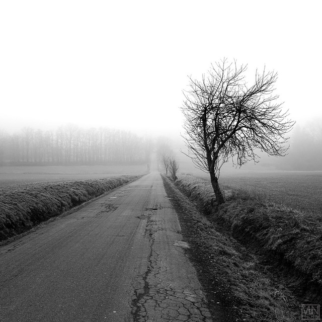 foggy road -explore-