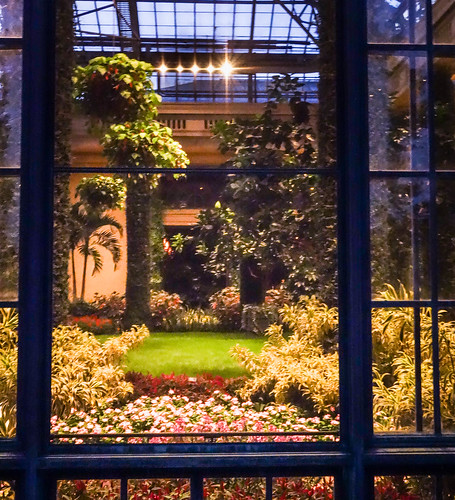 2020 arboretum kennettsquare longwood longwoodgardens pennsylvania flowers glass golden green plants reflection sun window windows conservatory