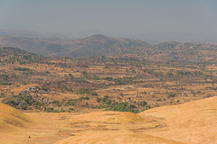 Mashonaland Landscape from Domboshava Hill IV