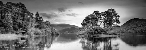 lakedistrict mono trees derwentwater reflections goldcollection panorama