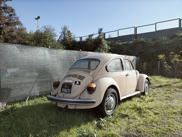 Volkswagen Maggiolone