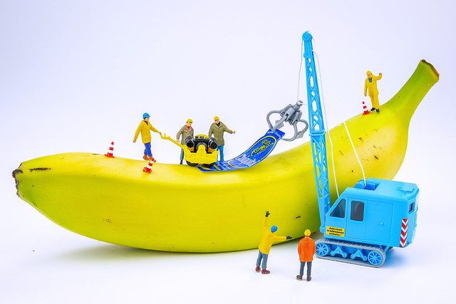 So bekommt die Banane Ihren Chiquita Aufkleber